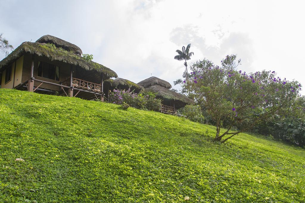Arasha Resort & Spa Pedro Vicente Maldonado Exterior foto